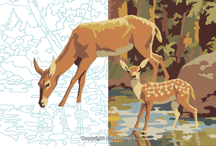 Deer and Fawn Illustration in Paint by Numbers Style in Wilderness Scene