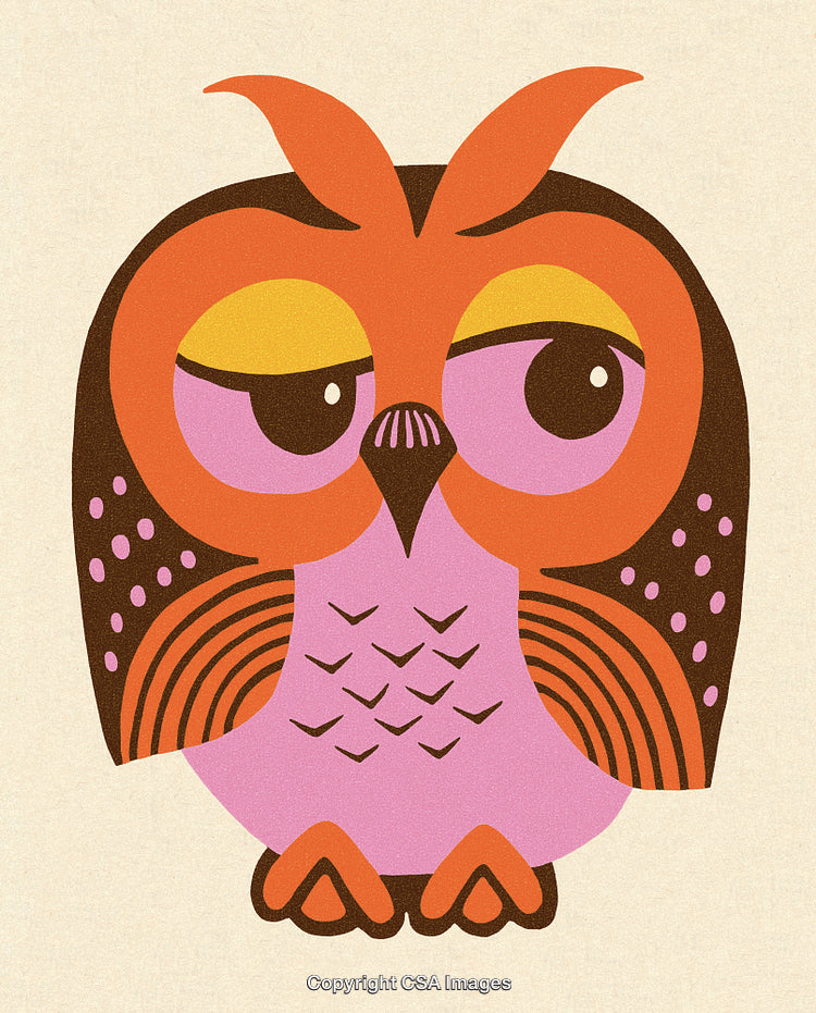 Colorful Retro Owl Illustration with Geometric Designs and Vibrant Patterns