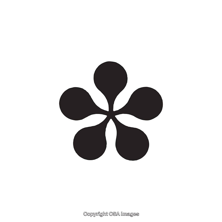 Abstract Five-Point Shape Dingbat in Minimalist Black and White Design
