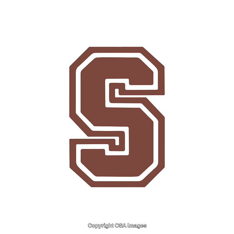 Letter S Styled with Bold Geometric Outline on White Background