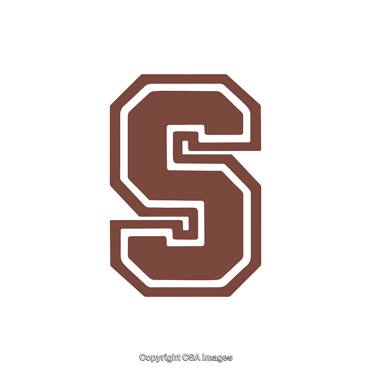 Letter S Styled with Bold Geometric Outline on White Background