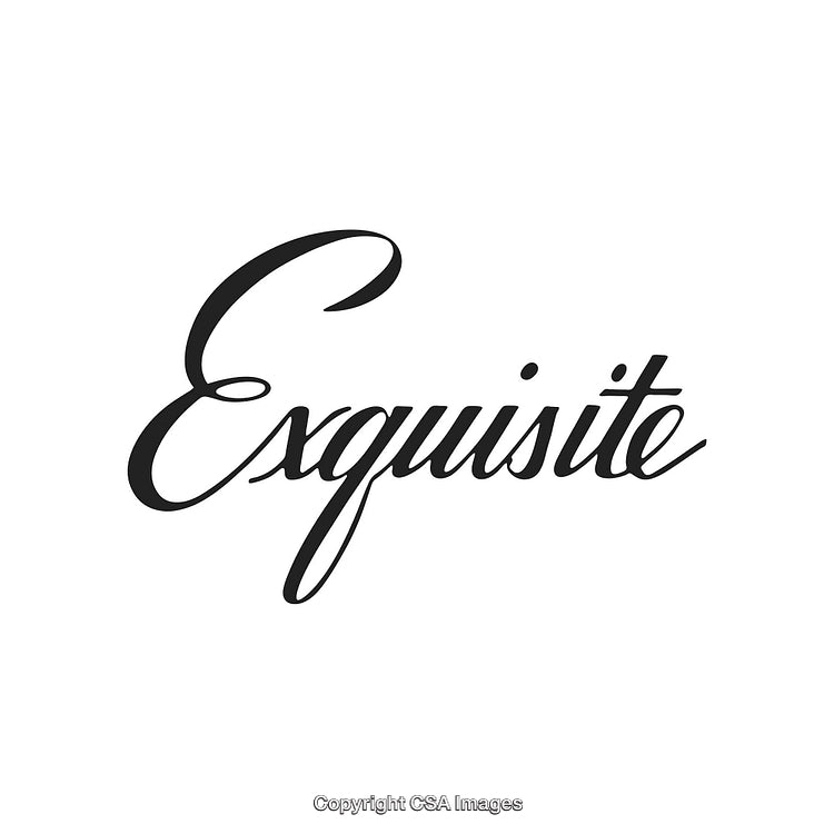 Elegant Typography Featuring the Word Exquisite in Stylish Calligraphy Font