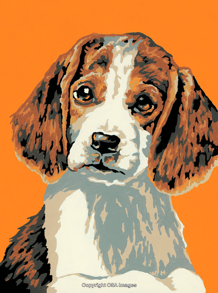 Beagle Dog Portrait in Vibrant Paint by Number Art Style on Orange Background