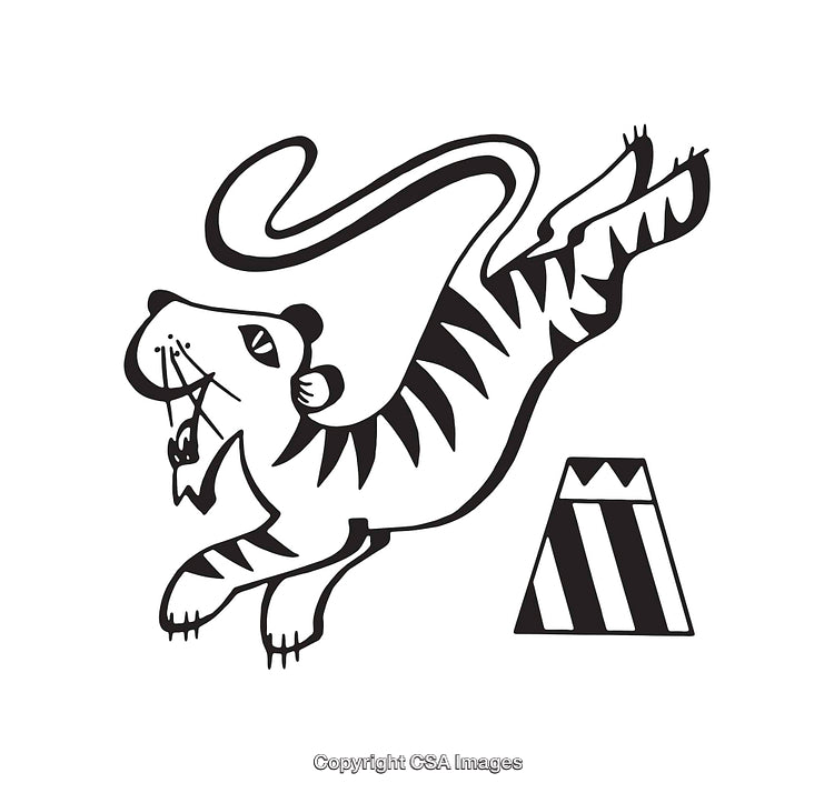 Hand-Drawn Black and White Tiger Performing a Circus Act Illustration