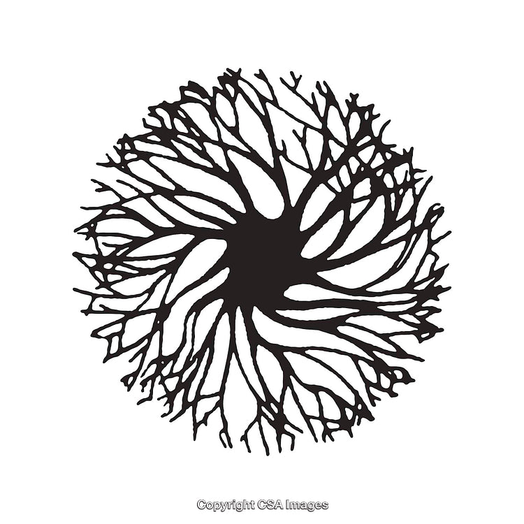 Abstract Circular Tree-Like Shape in Black and White on White Background