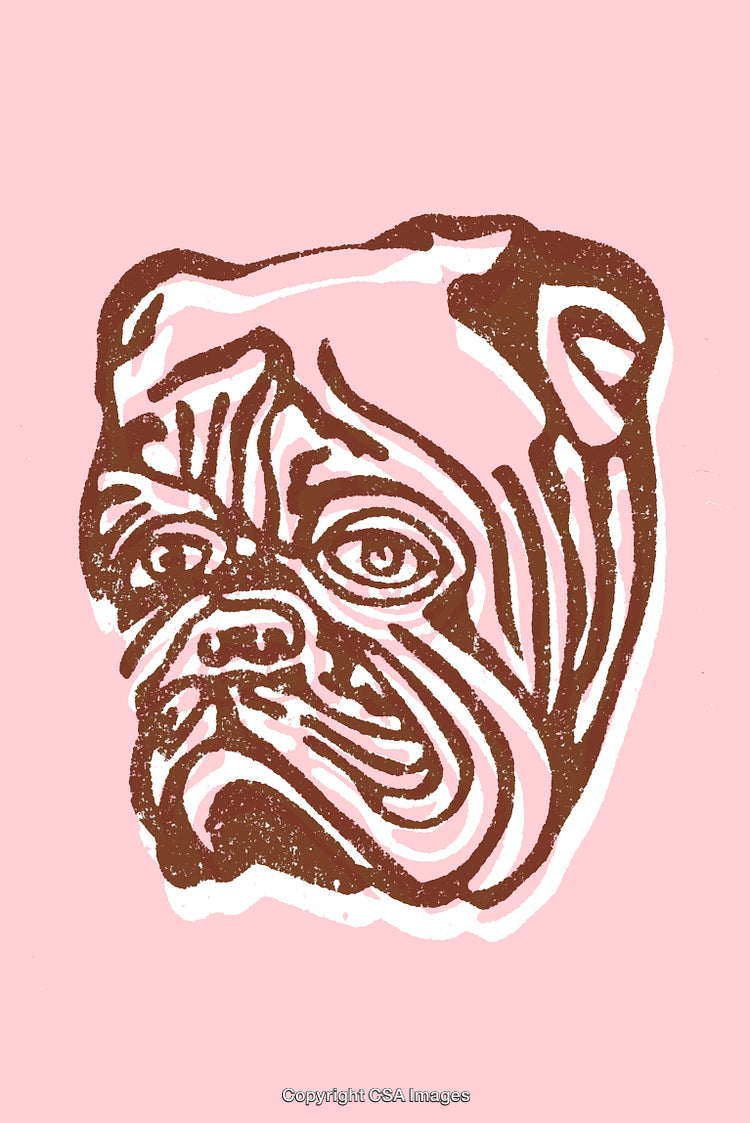 Stylized Illustration of a Bulldog's Face on a Pink Background