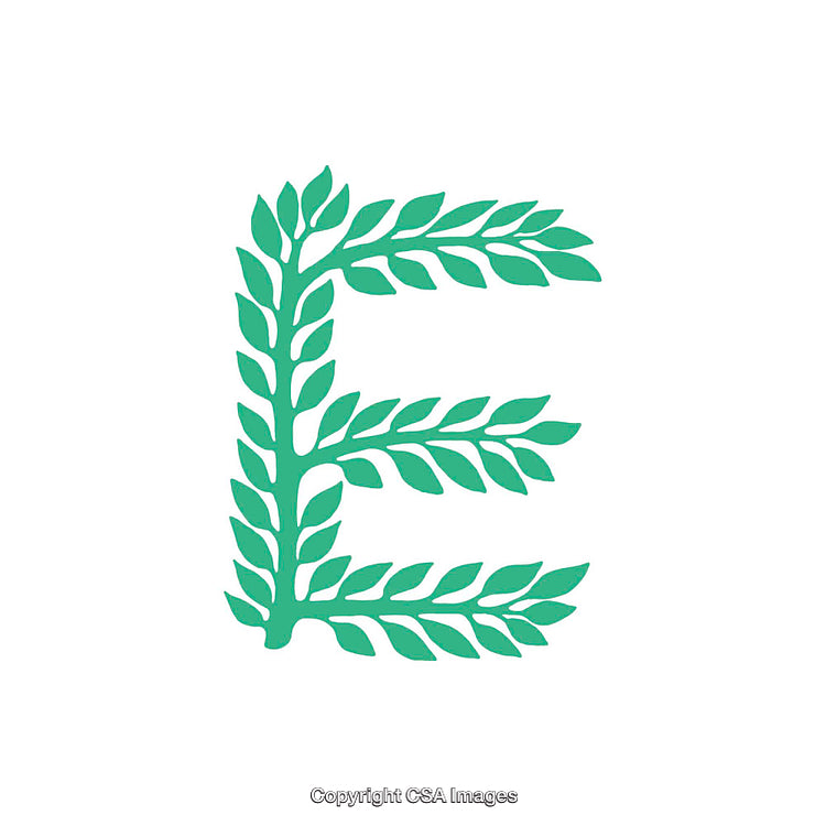 Creative Green Letter E Made of Natural Leaf Motif Art Design
