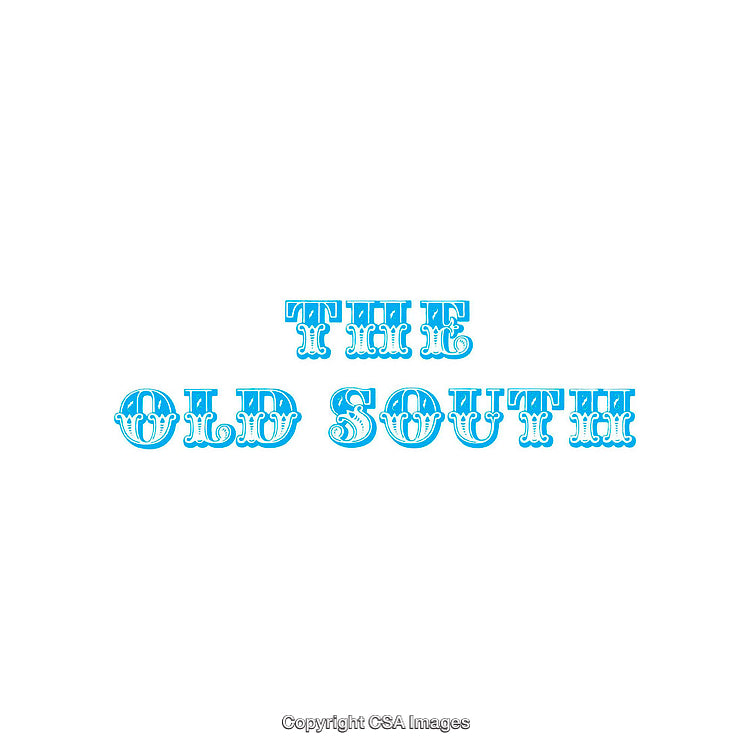 Vintage Typography Graphic Highlighting The Old South in Blue Letters
