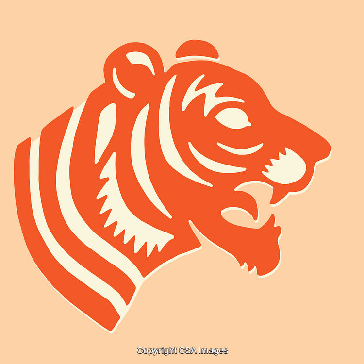 Bold Tiger Illustration with Orange and Ivory Colors on Pastel Background