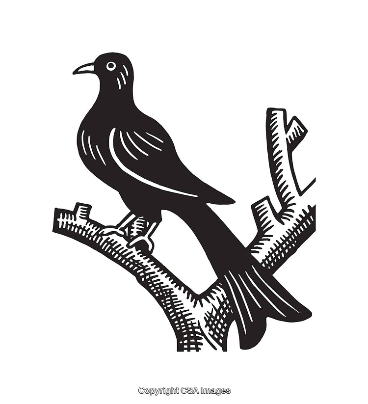 Illustration of a Bird Perched on a Branch in Black and White