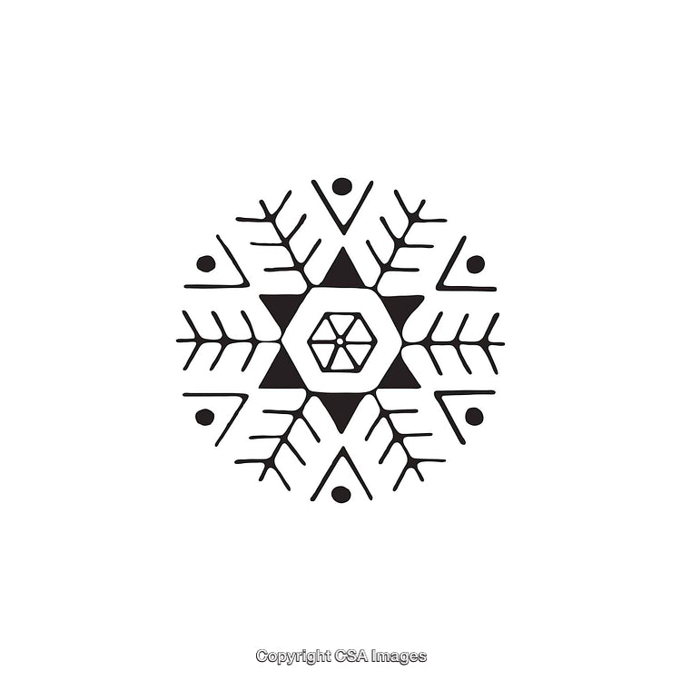 Black and White Geometric Snowflake Vector Illustration on a White Background