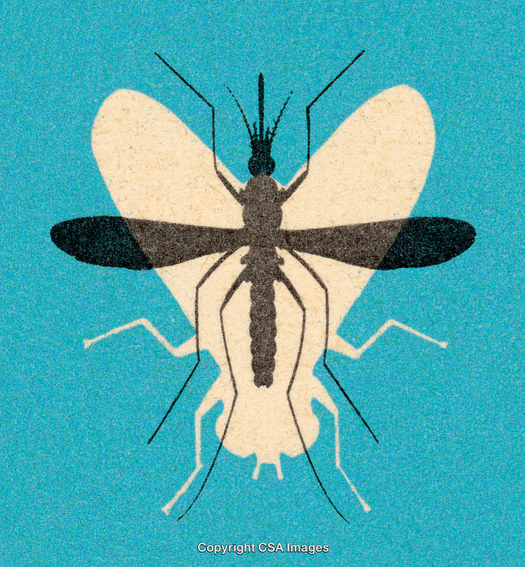 Illustration of Mosquito Silhouette Overlapping a Butterfly Against Blue Background