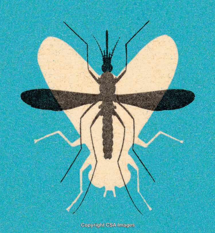 Illustration of Mosquito Silhouette Overlapping a Butterfly Against Blue Background