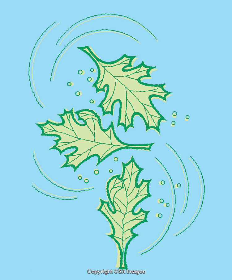 Illustration of Green Leaf Design with Swirling Artistic Touch