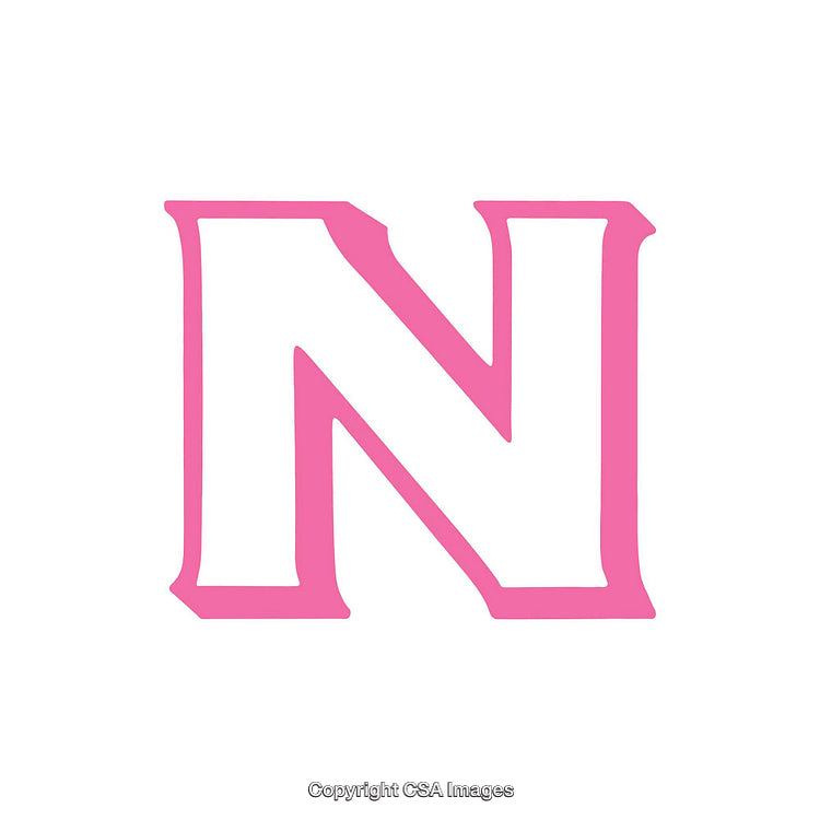Pink Letter N in Bold Serif Font on White Background