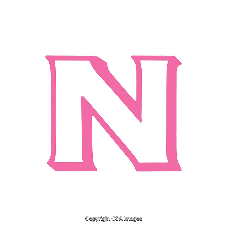 Pink Letter N in Bold Serif Font on White Background