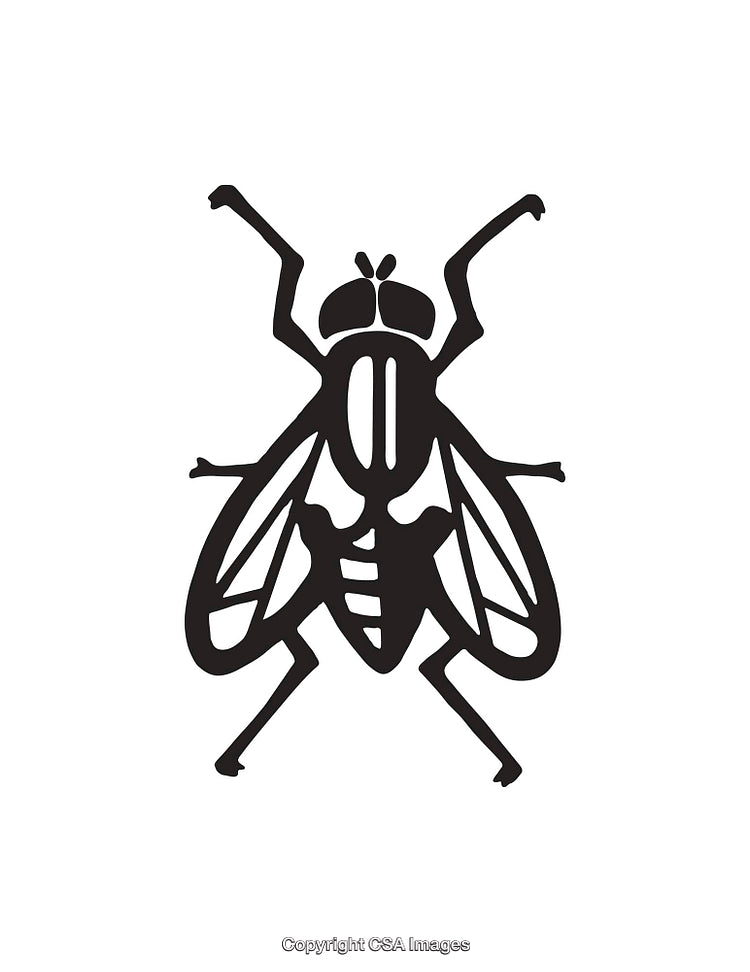 Black Silhouette Icon of an Insect in Detailed Style