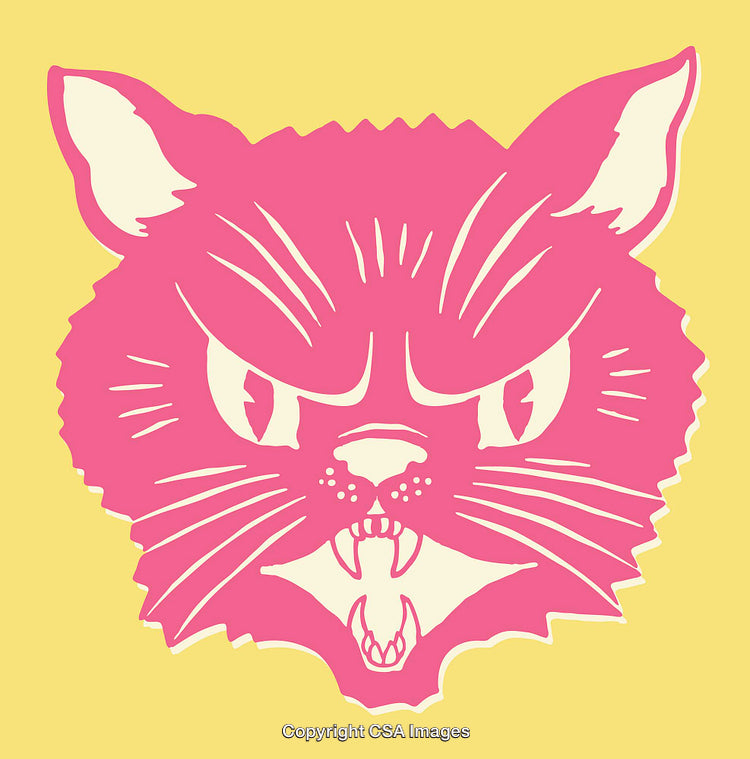 Pink and Yellow Cat Illustration Showing Anger in Vibrant Colors
