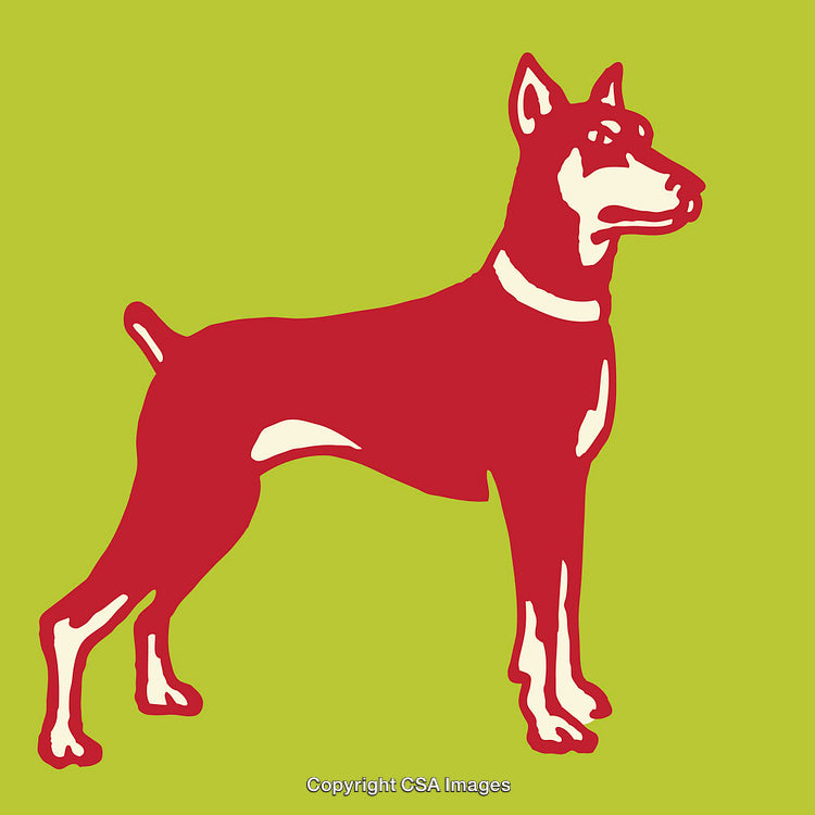 Colorful Line Art Illustration of a Standing Dog on Green Background