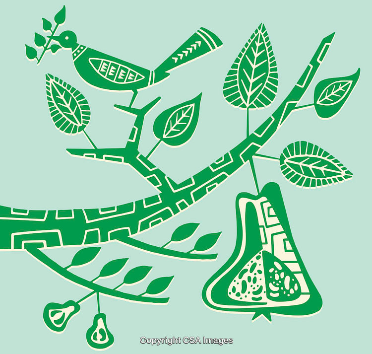 Colorful Line Art Illustration of a Bird on a Branch with a Pear