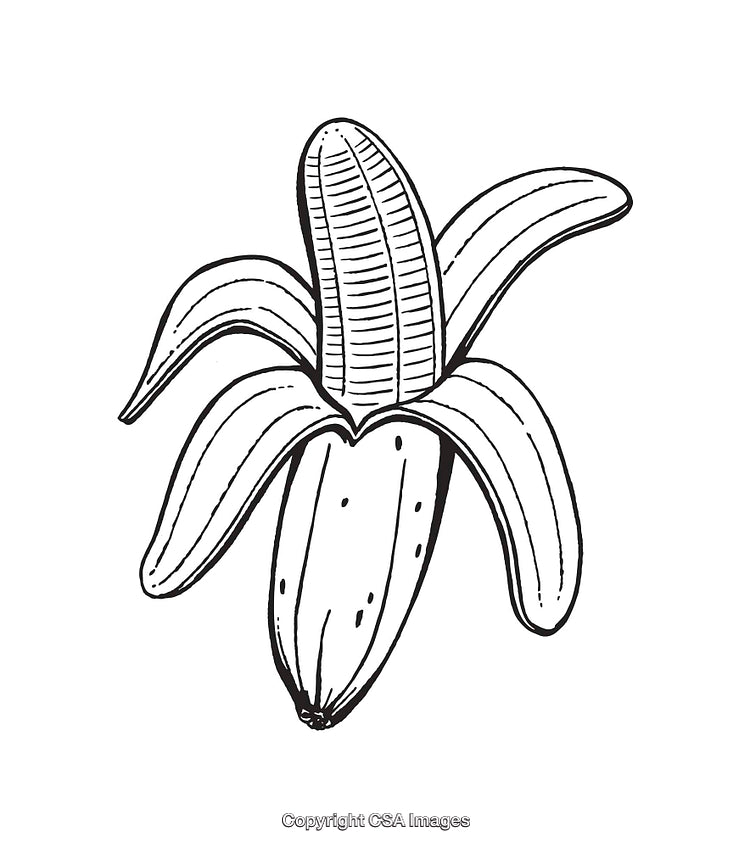 Hand-Drawn Illustration of a Partially Peeled Banana in Black and White
