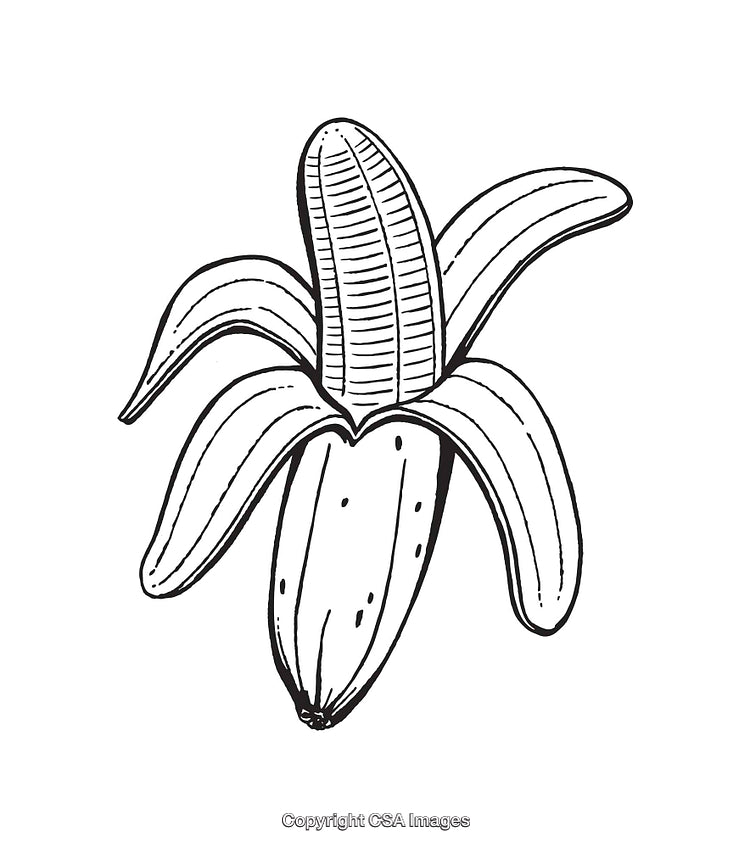Hand-Drawn Illustration of a Partially Peeled Banana in Black and White