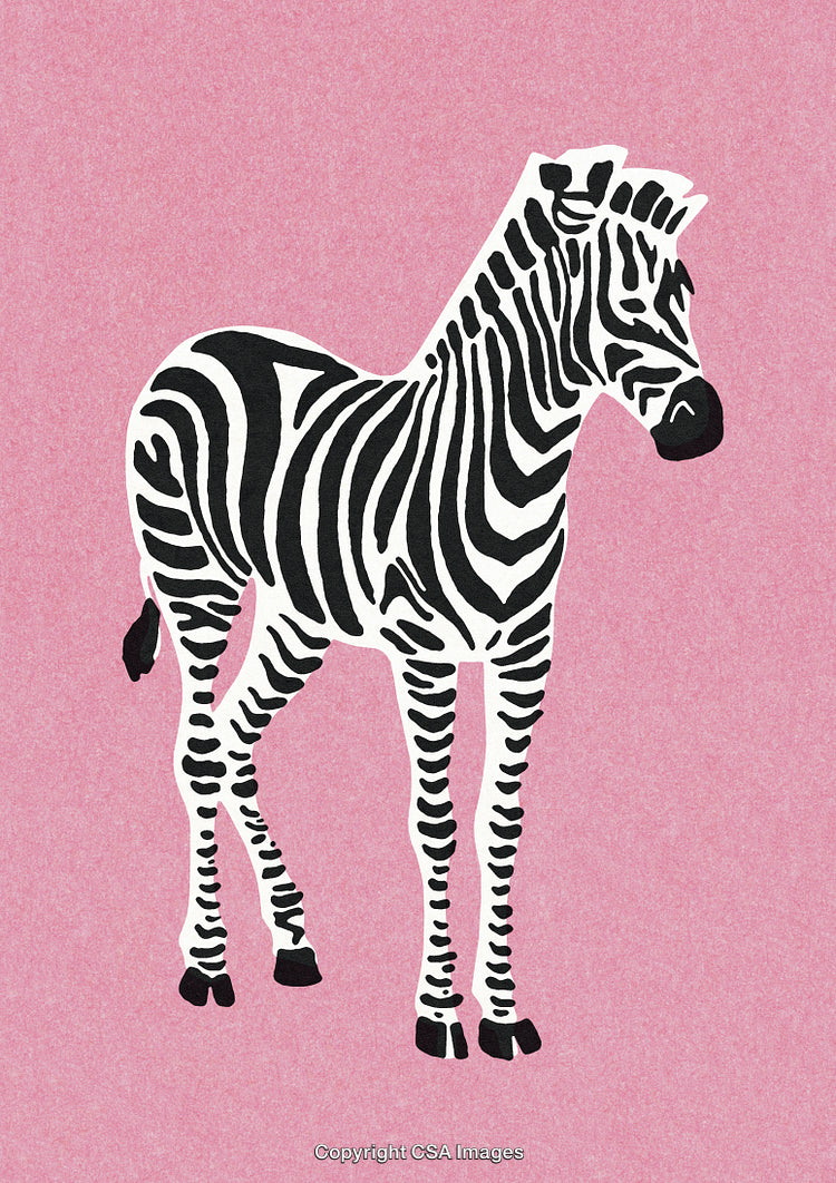 Stylized Zebra Illustration on Pink Background with Black and White Stripes