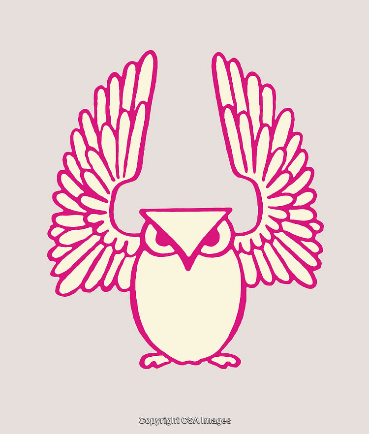 Colorful Line Art Illustration of an Owl With Raised Wings