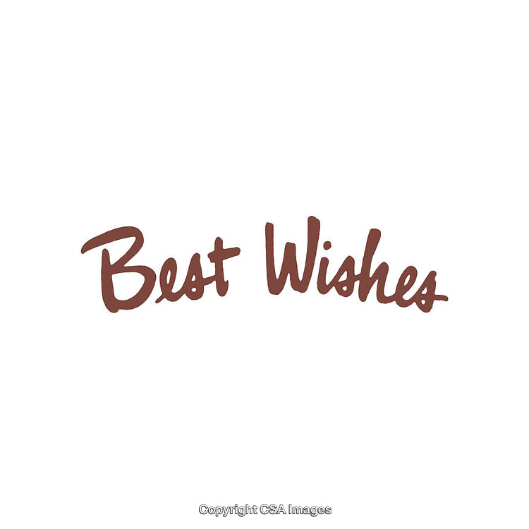 Best Wishes Greeting Text in Handwritten Stylish Typography Art