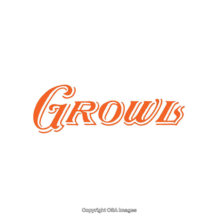Bold Orange Growl Text on White Background
