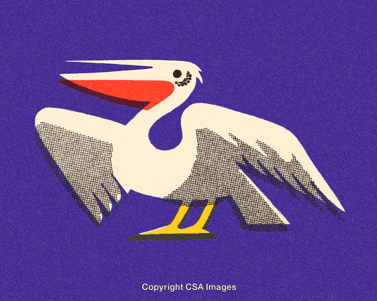 Retro Style Illustration of a White Pelican on Purple Background