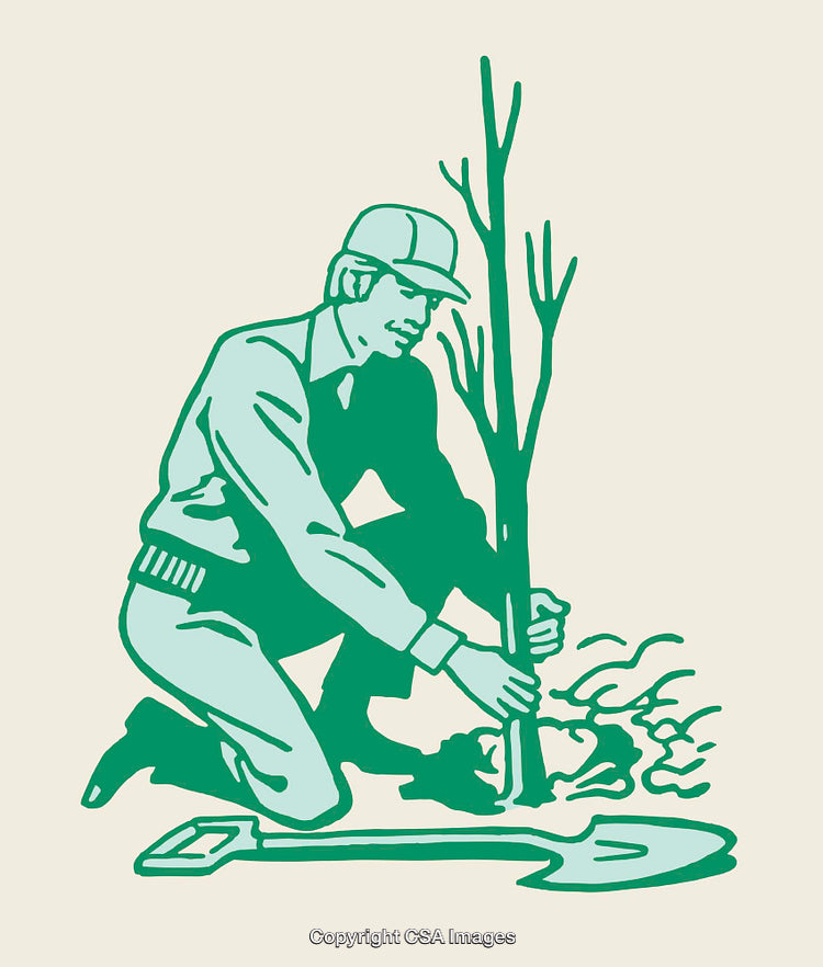 Illustration of a Man Planting a Tree in a Garden Setting