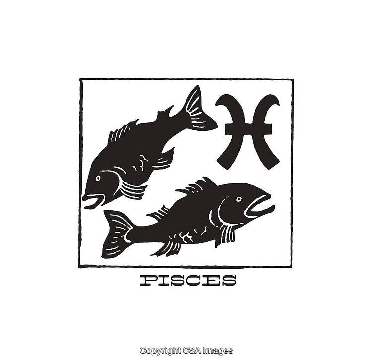 Black and White Pisces Zodiac Sign Illustration Featuring Two Fish Symbol