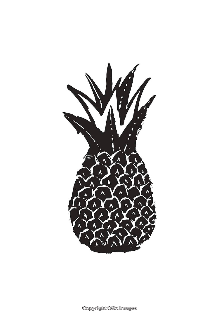 Black and White Pineapple Illustration with Intricate Details