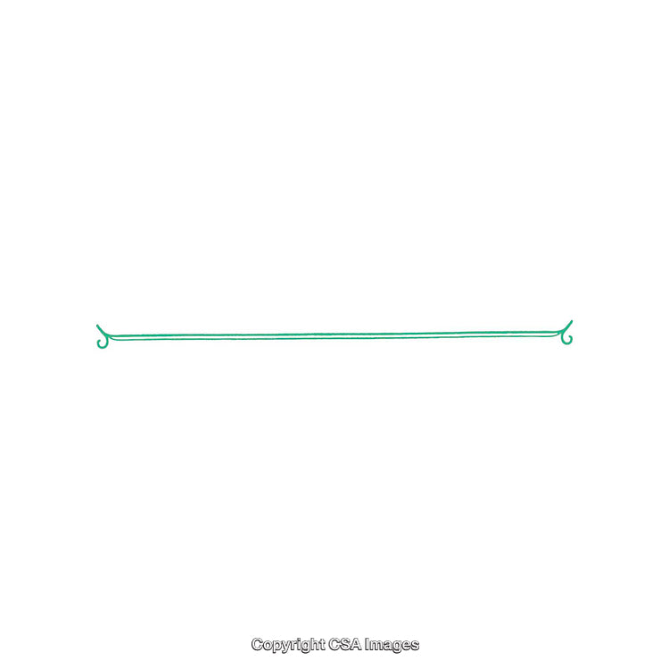 Minimal Green Decorative Line with Elegant Ends on White Background