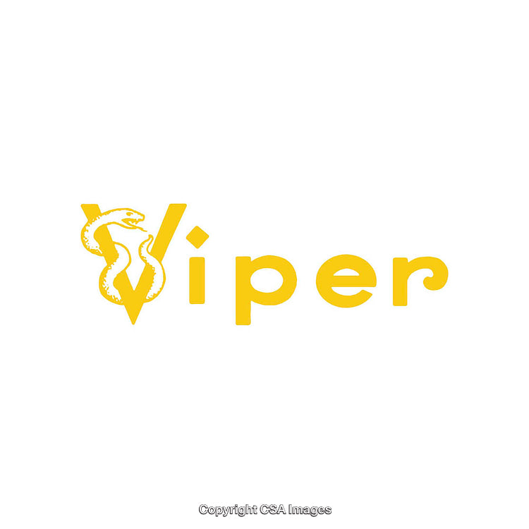 Yellow Stylized Viper Snake Logo Design on a Clean White Background