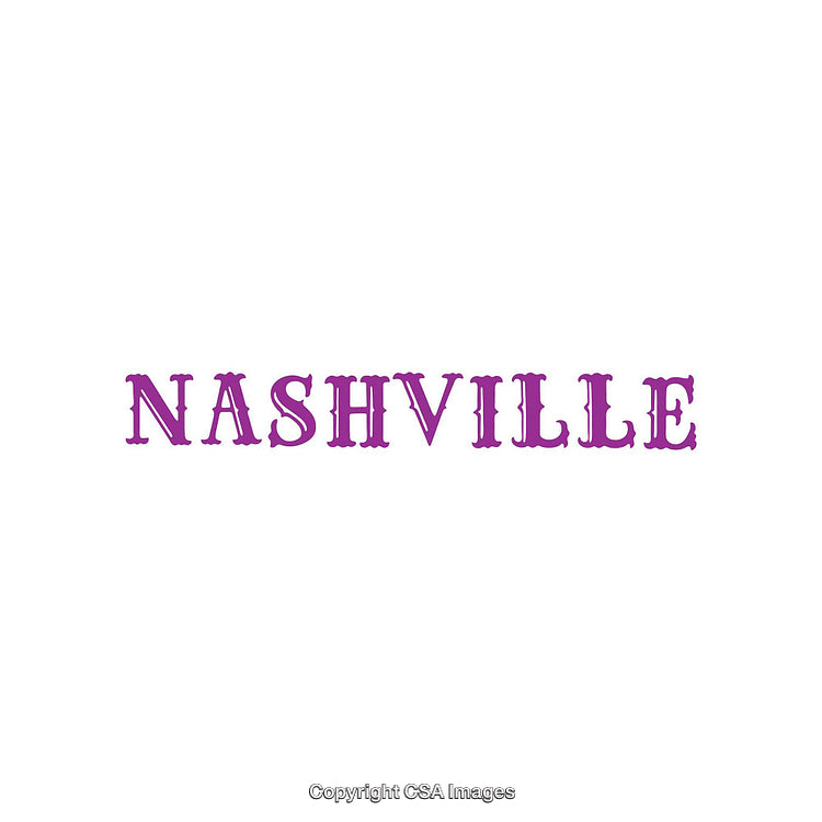 Elegant Purple Typography Design Featuring the Word Nashville on a Clean Background