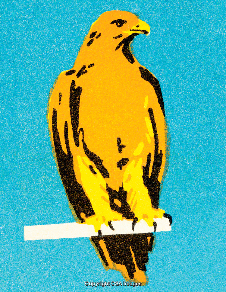 Golden Hawk Illustration Perched Against a Vibrant Blue Background in Retro Style