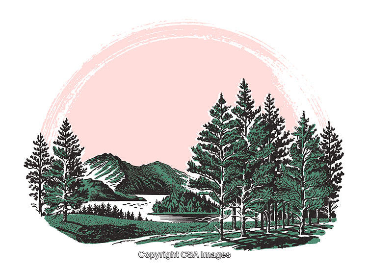 Scenic Landscape with Pine Trees, Mountain and Serene Lake under Pink Sky