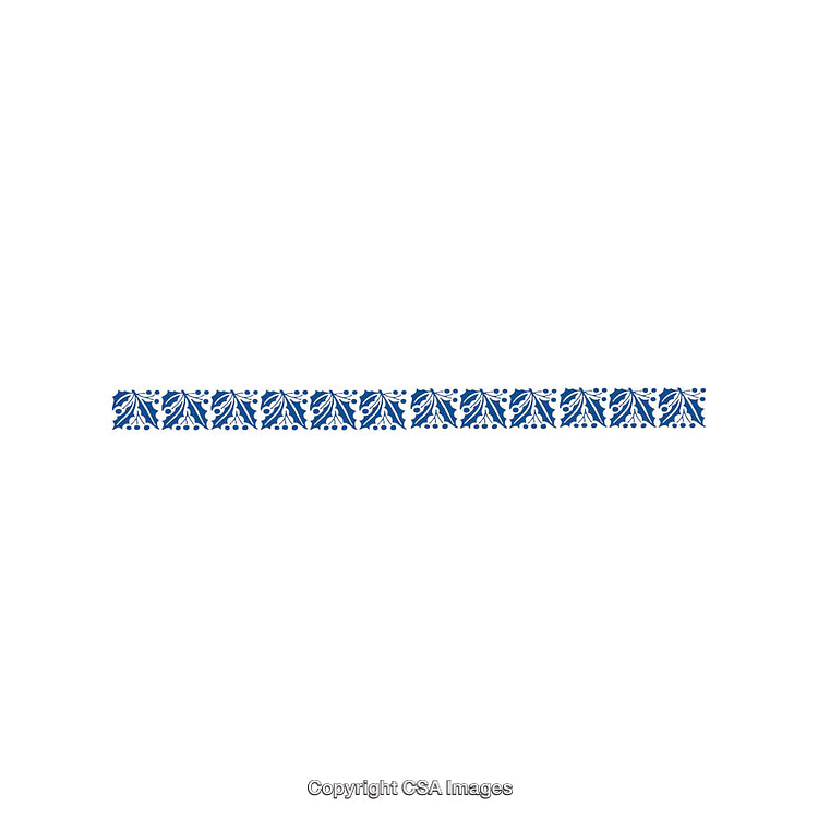 Blue Floral Decorative Border with Symmetrical Pattern Design