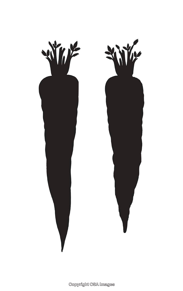 Black and White Silhouette Illustration of Two Carrots with Stems