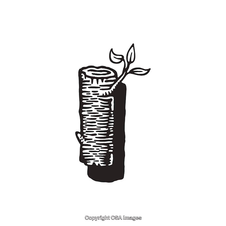 Detailed Hand-Drawn Illustration of a Wooden Log with Fresh Leaves