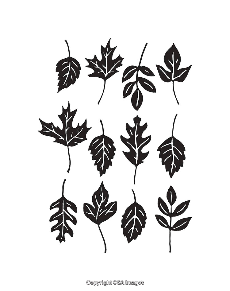 Collection of Black and White Line Art Leaves Illustrations