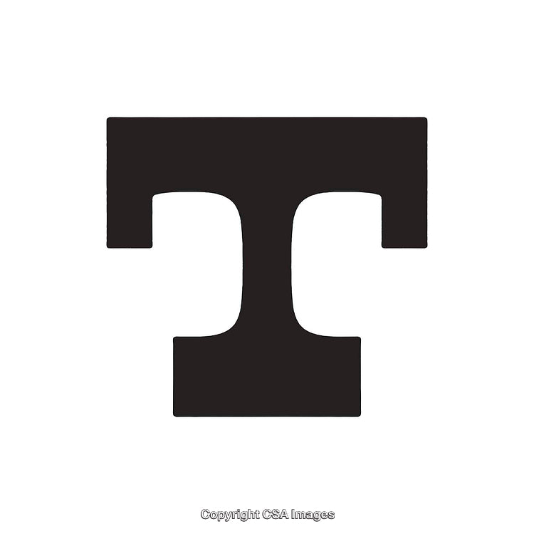 Black Letter T in Bold Typeface on White Background