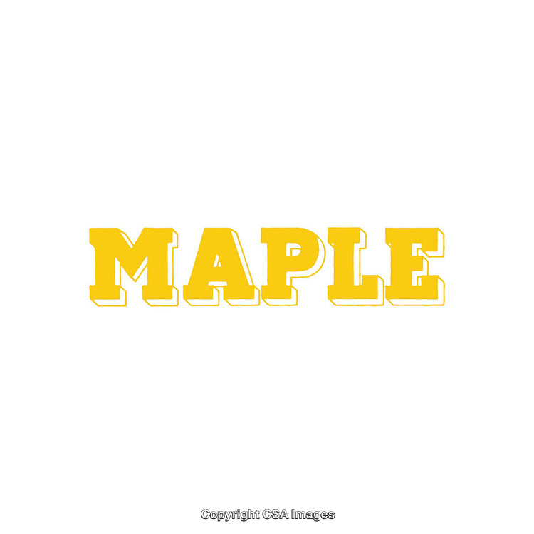 Yellow Maple Text Illustration on White Background