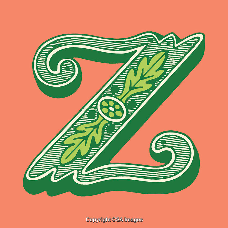 Elegant Ornamental Letter Z Design in Vibrant Colors