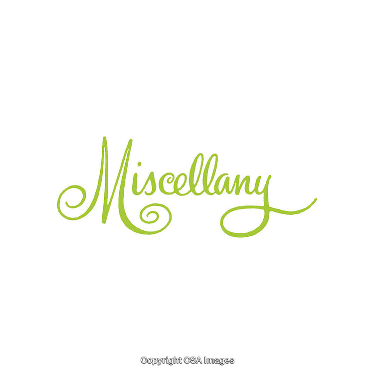 Elegant Typography Featuring the Word Miscellany in a Serene Green Hue
