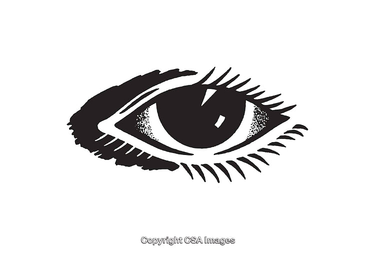 Black and White Line Art Illustration of a Detailed Eye Symbol