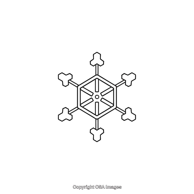 Minimalistic Black And White Hexagonal Snowflake Icon Illustration
