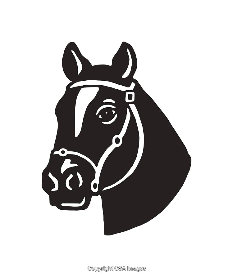 Black And White Line Art Illustration of a Horse's Head with Halter